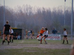 0DIA 1984 RAVA PUPS 1
